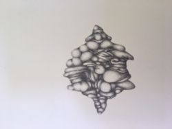 S/t lápiz s/papel- 19x25cm- 2018