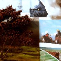 Sobre la idea del Paisaje en la Argentina - detalle 2