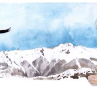 Condor - 2015 - acuarela- 46x20