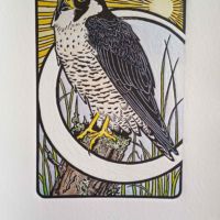 Peregrino- 2018- linoleo coloreado a mano-30x47