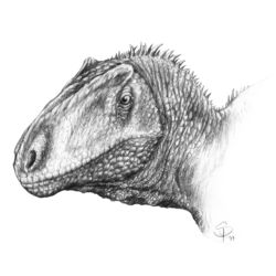 Asfaltovenator vialidadi-2019-grafito sobre papel